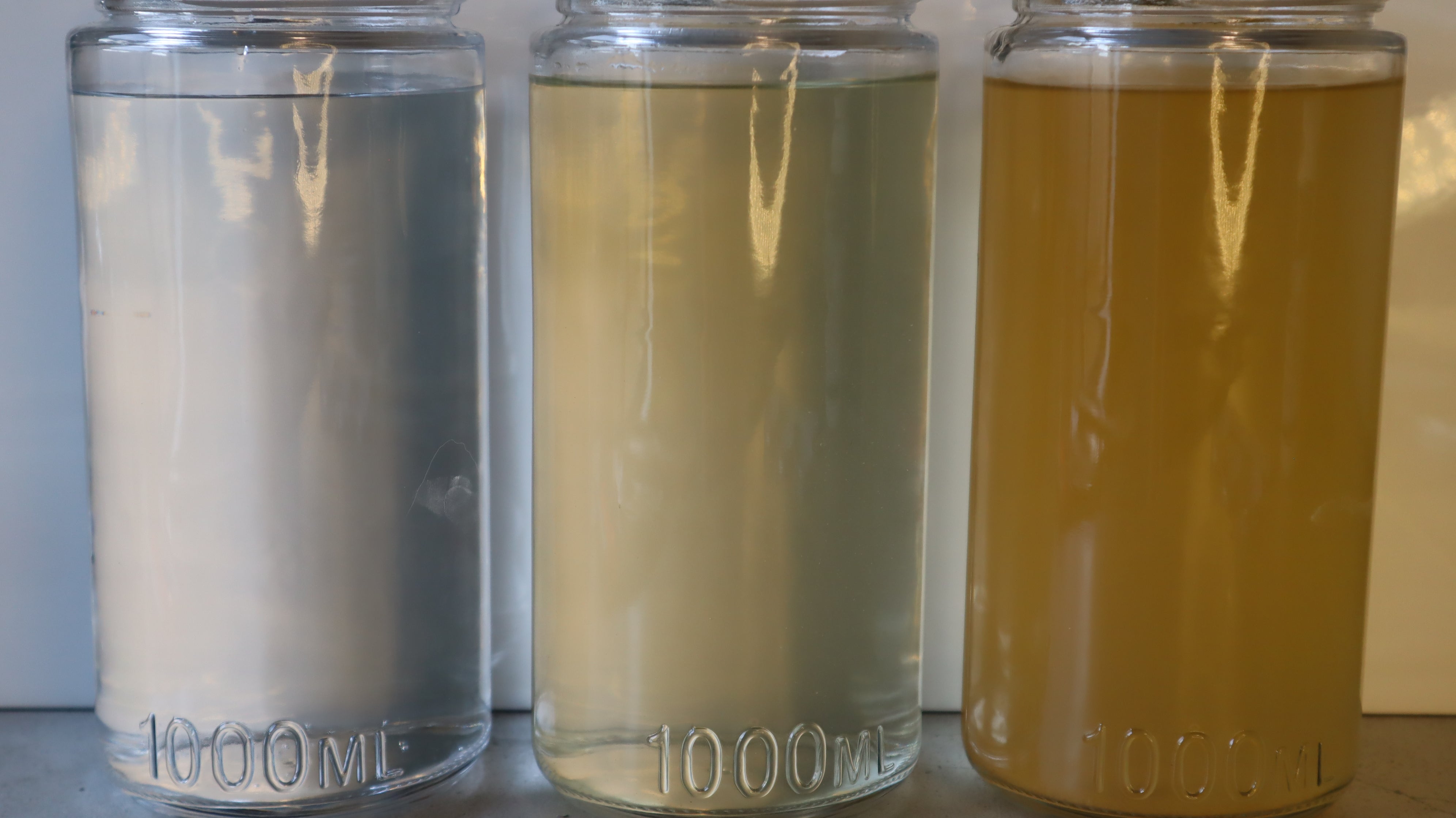 The Truth About Tap Water: A Home Experiment with Our Water Distillers